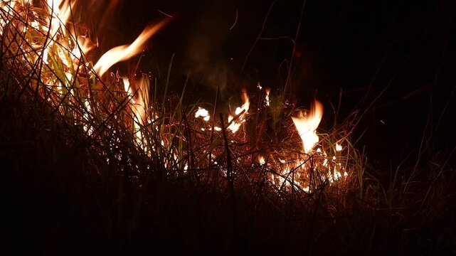 Bright orange flames engulf dry grass in a nighttime scene. The fire spreads through dense vegetation, with dark surroundings contrasting the glow.