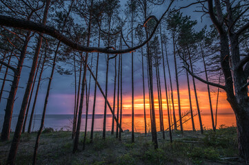 Fototapete bei efototapeten.de bestellen   