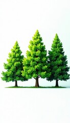 Obraz premium A line of vibrant green trees is isolated on a stark white backdrop , leaves, tree line