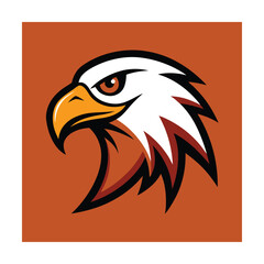 Obraz premium head of eagle