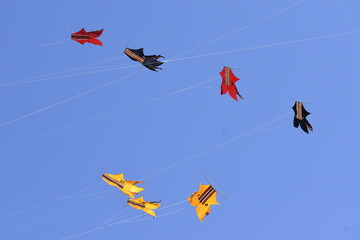colorful kite in flight