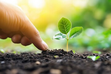 Transferring funds into a high-yield investment account for future growth. Generative AI