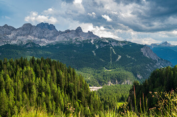 Environment, vegetation and nature of the Ampezzo Dolomites, dominated by Mount Cristallo.