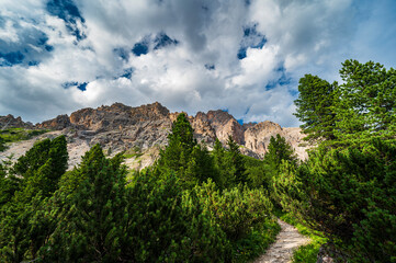 Fototapeta premium Environment, vegetation and nature of the Ampezzo Dolomites, dominated by Mount Cristallo.