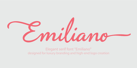 Elegant serif font 