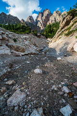 Environment, vegetation and nature of the Ampezzo Dolomites, dominated by Mount Cristallo.