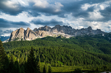 Environment, vegetation and nature of the Ampezzo Dolomites, dominated by Mount Cristallo.