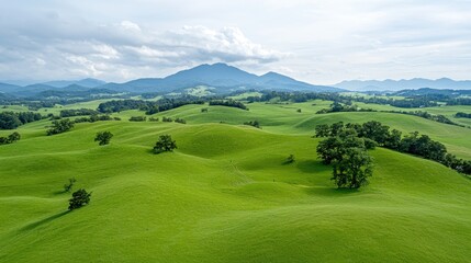 Obraz premium Panoramic view of rolling green hills. Aerial shot of a landscape