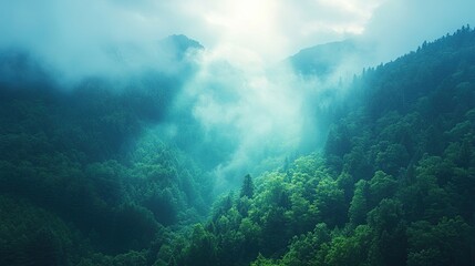 Fototapeta premium Misty Mountains Enveloped in Lush Green Forest