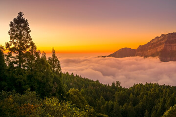 Sonnenuntergang, Nebel im Tal, Datashan, Tashan-Berge, Berglandschaft, Mittelgebirge im Alishan Township, Chiayi County, Taiwan