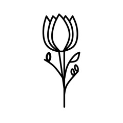 vector illustration of a flower