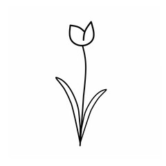 flower isolated on white background vector illustration of a flower abstract flower background hand drawn flowers vector floral background