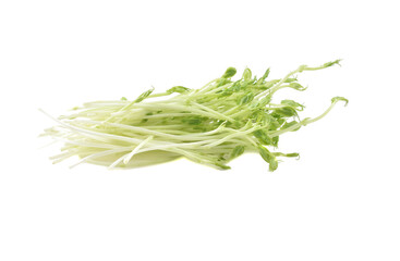snow pea sprouts on white background