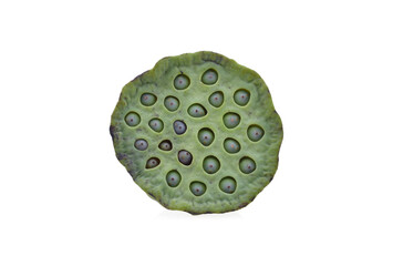 lotus seeds isolated on white background