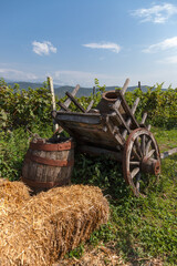 An old wooden cart and a wine barrel on the background of a vineyard