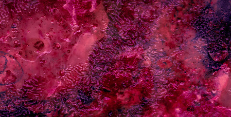 Obraz premium A Backdrop of Vibrant Colors, Texture, and Gold Elements