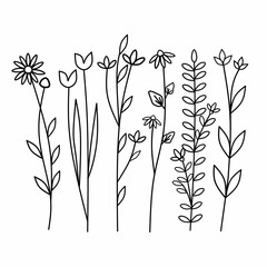 flower isolated on white background vector illustration of a flower abstract flower background hand drawn flowers vector floral background