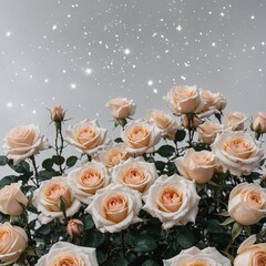 A dreamy scene of roses in full bloom surrounded by stars, with a crisp white background highlighting their delicate beauty.