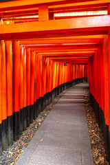 japanese shrine, Fushimi Inari Taisha, Kyoto Japan