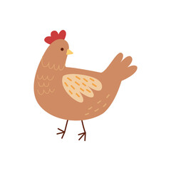 Cute chicken vector clipart. Hand drawn chicken illustration on white background.