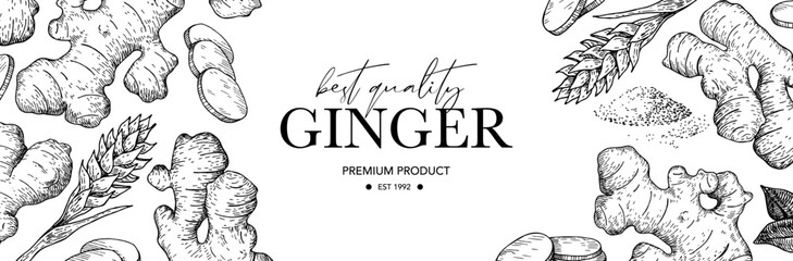 Ginger root vector label. Root, ginger pieces, powder and flower vector drawing. Engraved style illustration. 
