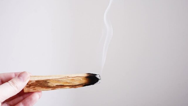 incense aroma stick palo santo smokes on a white background