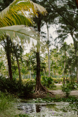 Naklejka premium Tropical garden villa with lush greenery and pond in Bora Bora, French Polynesia