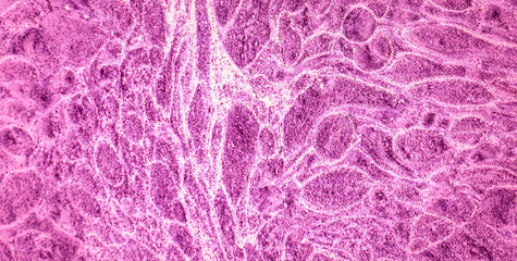 Luminous Flow: Exploring the Magic of Liquid Art in Oil Paint
