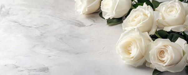 Fototapeta premium A close-up of white roses on the right side, with copy space and text in front, creating an elegant background for wedding or romantic themes. 