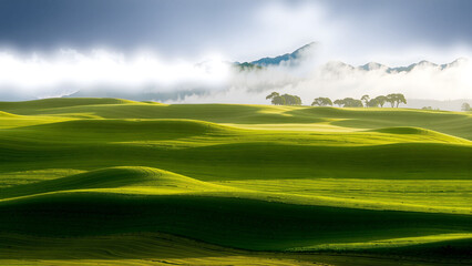 Obraz premium Green Grass Hill and Clear nice Sky