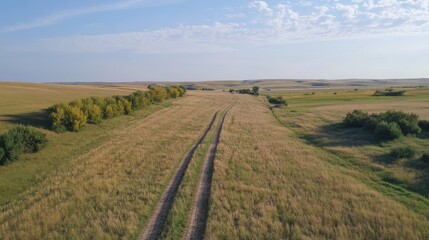 Obraz premium Tranquil Countryside Road Through Golden Fields