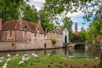 View of the outside of the Beguinage, swans near a water canal, Bruges cityscape, Belgium