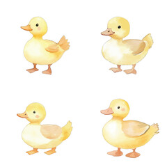 duck watercolor illustration concept for kids