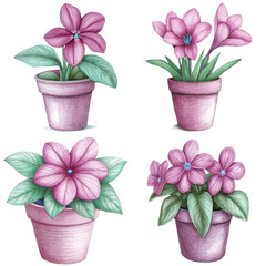 Purple flower pot watercolor set hand drawn