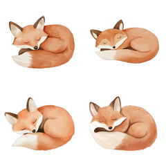 sleeping fox watercolor illustration concept for kids