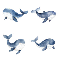 whale watercolor illustration concept for kids