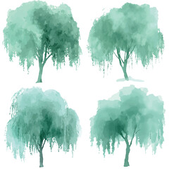 Willow tree watercolor set hand drawn