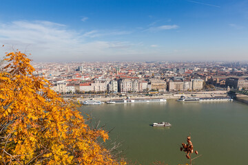 Fototapeta premium Budapest left bank from Gellert Hill above tree branches, Hungary