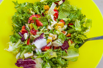 Salad of cheese, chicken chops slices, vegetables and leaf lettuce