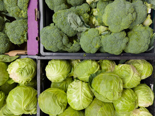 Young white cabbage and fresh broccoli in a vegetable market