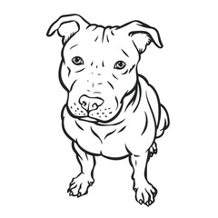 vector illustration of a pitbull. Dog drawing with line art. Simple design. You can give color you want. Easy to edit. 