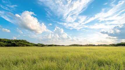 Sunny meadow landscape, blue sky, fluffy clouds. Use travel brochure