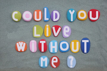 Could you live without me, interesting question composed with multi colored hand painted stone...