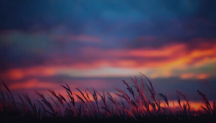 Fototapeta premium 美しい夕焼け
