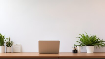 plants desk background