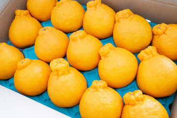 箱に詰められた贈答品のでこぽん