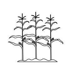 Vibrant autumn illustrations filled with warmth and nostalgia