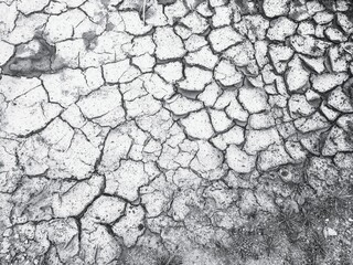 cracked earth texture