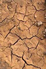 Suelo reseco con grietas por el cambio climático