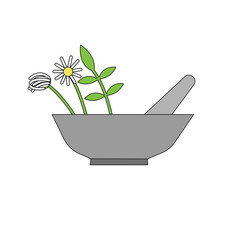 Healing medicinal plants used in natural remedies